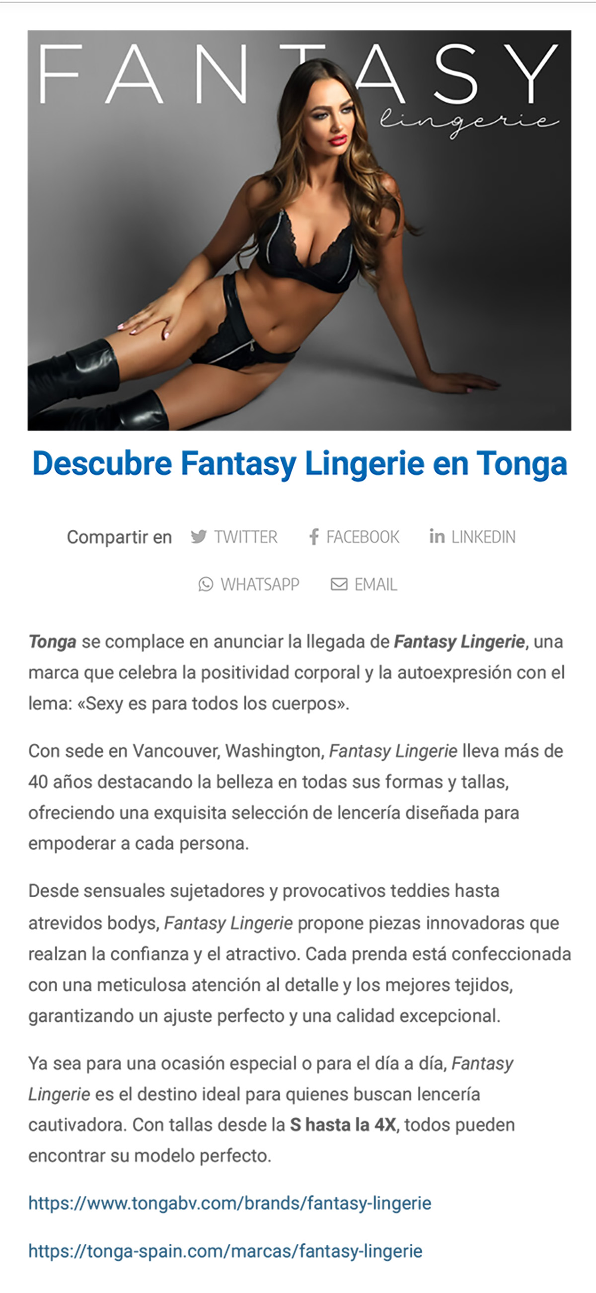 2025-01 Sugextions Online - Fantasy Lingerie